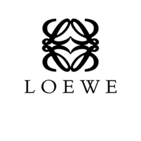 Picture for category Loewe