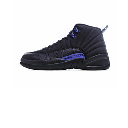 Picture for category Jordan 12