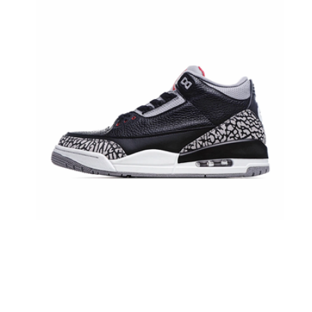 Picture for category Jordan 3