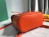 Picture of Alpin Mini shoulder bag Ref: GY020195, Size: 18.5*21.5.*8.5 cm