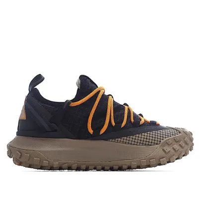 Picture of NIKE ACG MOUNTAIN FLY LOW "FOSSIL STONE" RUNNING SHOE