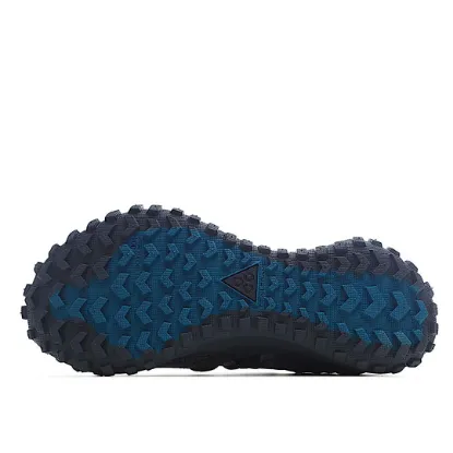 Picture of NIKE ACG MOUNTAIN FLY LOW "FOSSIL STONE" RUNNING SHOE