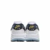 Picture of NIKE AIR MAX 1 DAISY PACK