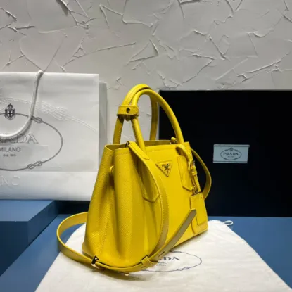 Picture of PRADA DOUBLE SERIES MINI BAG SIZE: 25X18.5CM 1BG443