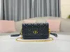 Picture of Caro Chain Clutch Bag Size:17.5*10.5*5cm