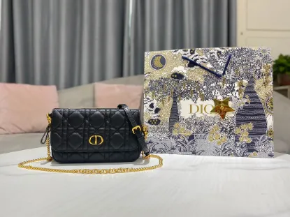 Picture of Caro Chain Clutch Bag Size:17.5*10.5*5cm