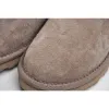 Picture of UGG CLASSIC MINI SERIES SNOW BOOTS