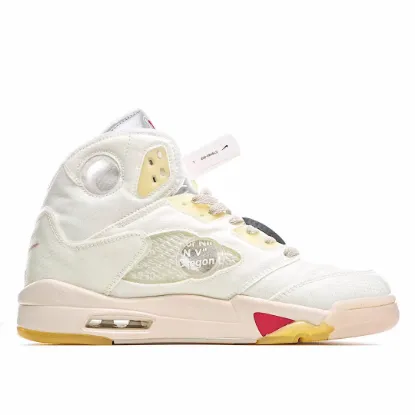 Picture of Air Jordan 5 x off white low