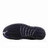 Picture of Air Jordan 12 Retro 'Dark Concord'