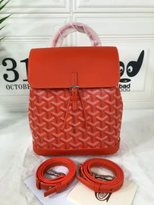 Picture of Goyard size: 19*9*20cm