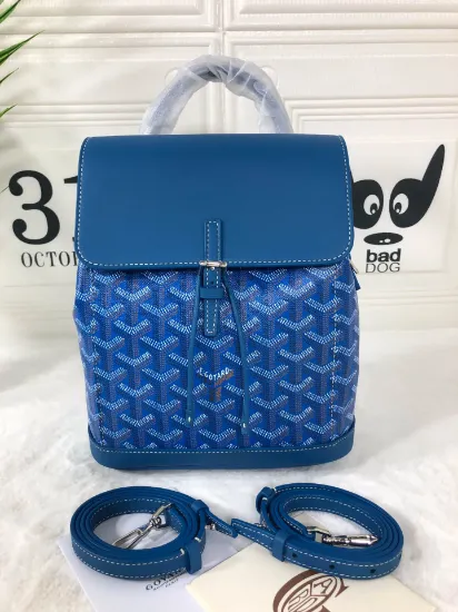 Picture of Goyard size: 19*9*20cm