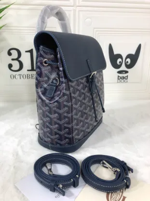 Picture of Goyard Size: 19*9*20cm