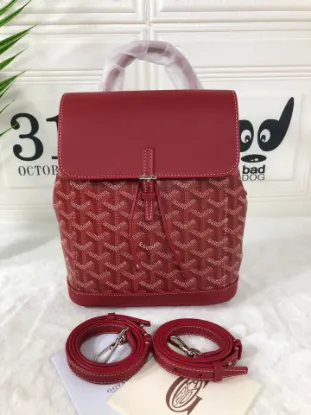 Picture of Goyard Size: 19*9*20cm