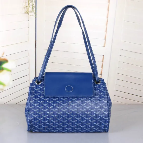 Picture of Goyard Size:30*22*14cm