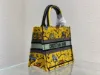 Picture of LUCKY DIOR LIMITED SERIES Size 26cm