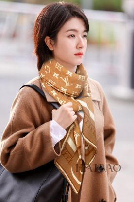 Picture of LV scarf