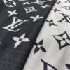 Picture of LV scarf