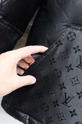 Picture of Louis Vuitton